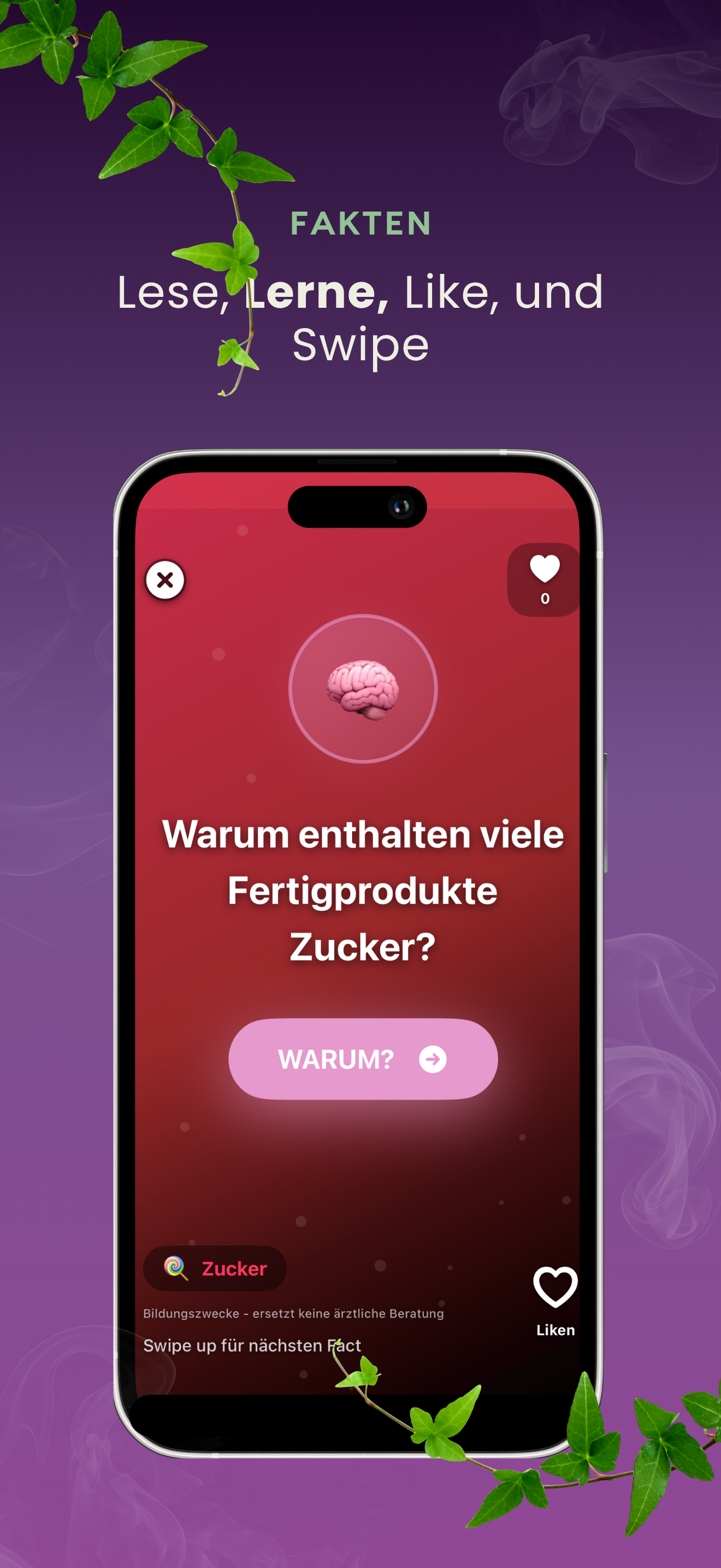 LittleLess Version 5.0 Screenshot Fakten-Seite auf iPhone 16 Pro Max